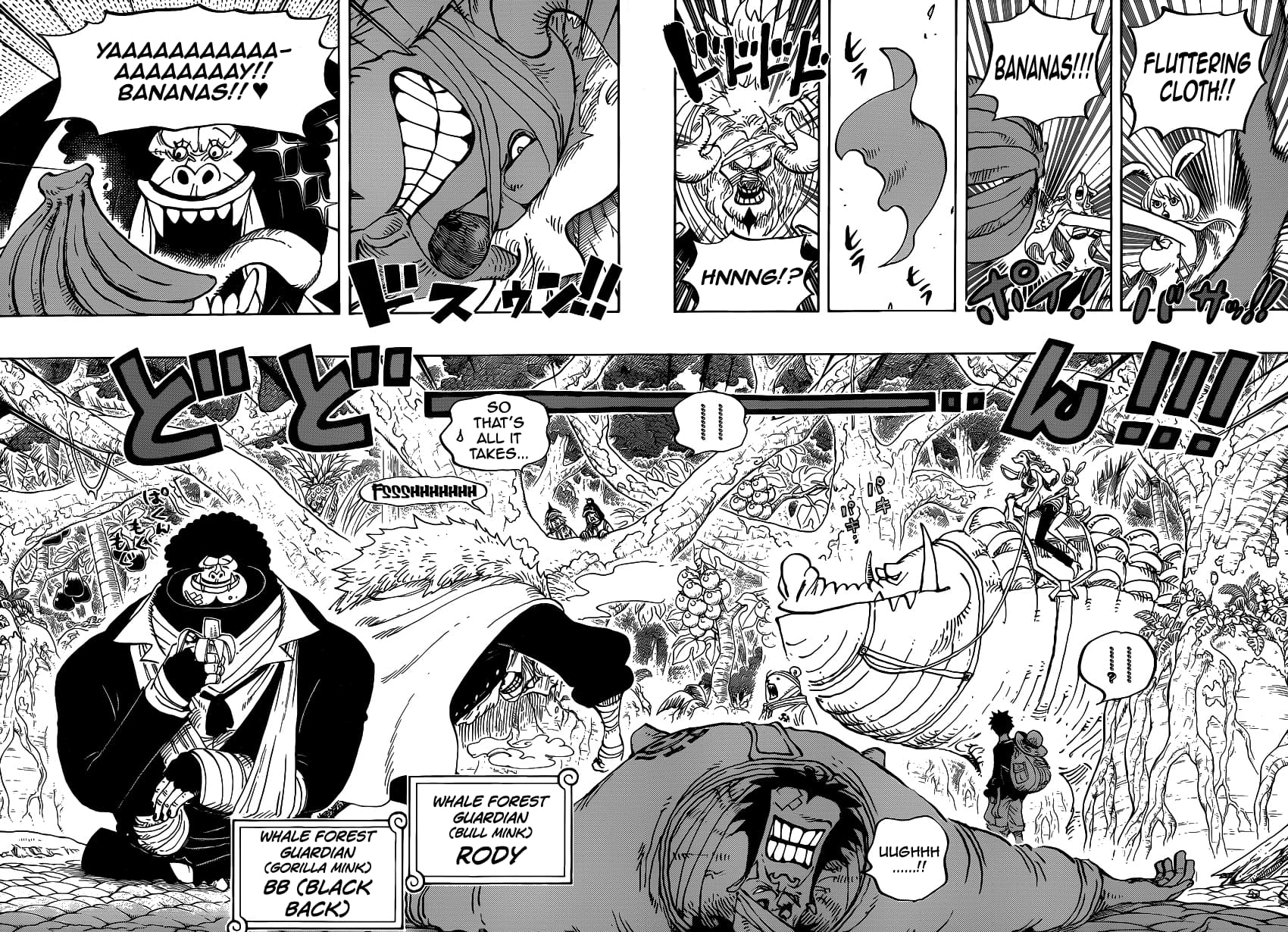 One Piece, Chapter 805 image 11